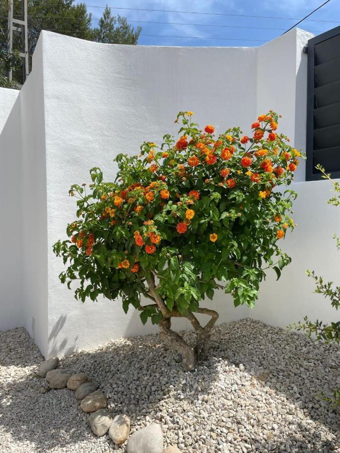 Casa Belle
